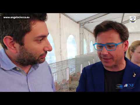 06.05. 18 - Ciocca alla Fiera Regionale di  Borghetto Lodigiano