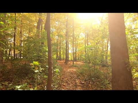 D'jaimin feat. Jamie - Nothing Matters At All (Mike Teri Remix)