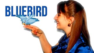 Bluebird - Juliana Schnee | Original Song