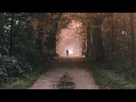 Steven Price - Norman (Slowed + reverb)