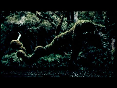 Dolorum & Einerlei - Morrois (Assisi) (Official Video)