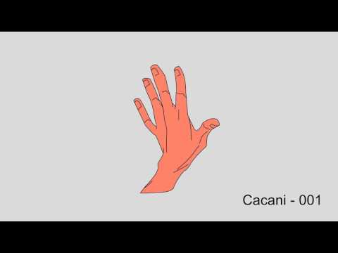 Cacani TAP 001 (Hand)