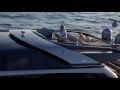 RIVA 86' Domino 