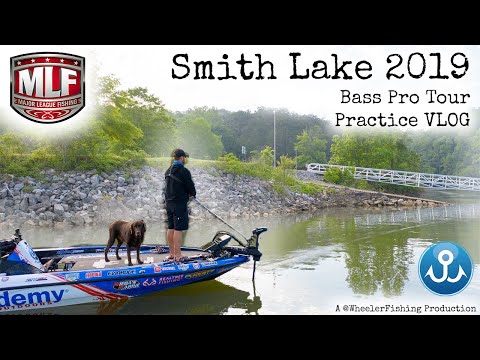 Watch I take my dog fishing for $100,000! Major League Fishing Alabama  Practice Video on