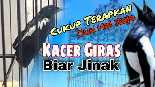 Download lagu Cara Menjinakan Kacer Giras || 2 kuncian ini wajib di lakukan secara konsisten mp3 Download lagu Cara Menjinakan Kacer Giras || 2 kuncian ini wajib di lakukan secara konsisten mp3