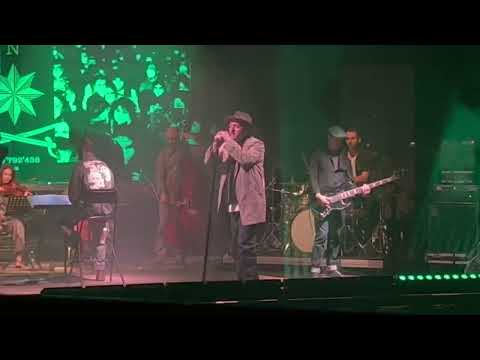 Casino Royale - My soul kingdom | FOG Festival - Triennale Milano