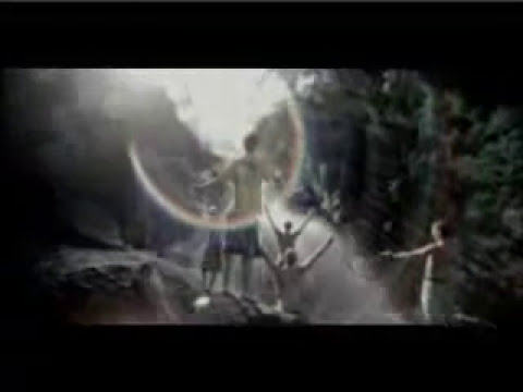 Planta & Raiz - Com Certeza