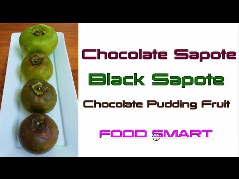 Chocolate Sapote Fruit