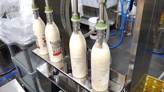 하루 600병 한정생산, 용인 수지 막걸리 공장 / rice wine ( makgeolli ) / wine factory in Korea