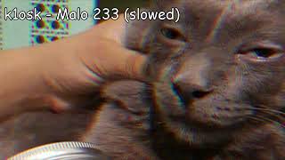 Cover art for Malo 233