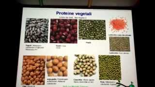 A ognuno il suo pasto