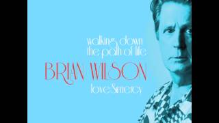 Brian Wilson - Walking Down the Path of Life / Love & Mercy
