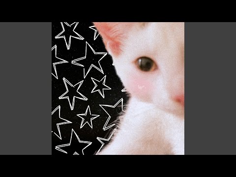 kitties breakcore jungle idk