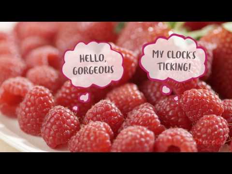 download lagu mp3 mp4 Should You Wash Raspberries Before Freezing Them, download lagu Should You Wash Raspberries Before Freezing Them gratis, unduh video klip Should You Wash Raspberries Before Freezing Them