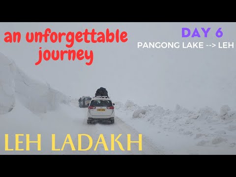 Leh Ladakh : Day 6 | Drive from Pangong Lake to Leh #myammachiskitchen