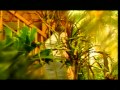 Rama Aiphama - Hulonthalo Lipu U