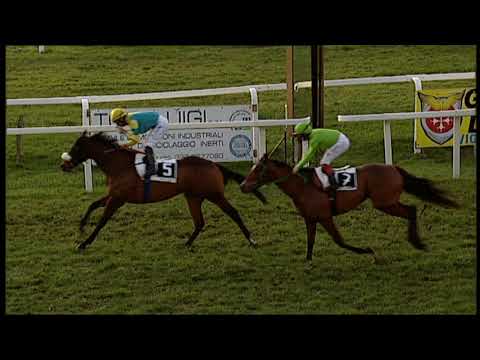 2019-12-22 Corsa 7 Metri 1200 Premio Lungarni pisani