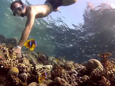 Dahab Tropitel House Reef snorkeling - December 2012 - GoPro Hero 2 HD