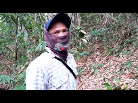 Kisah Seorang Tukang Kuli Macul, Bobodoran Sunda