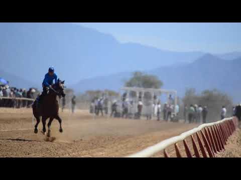 LUCIANO VS MORO CONCENTIDO