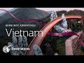 Burgundy Adventures | Vietnam (4K)
