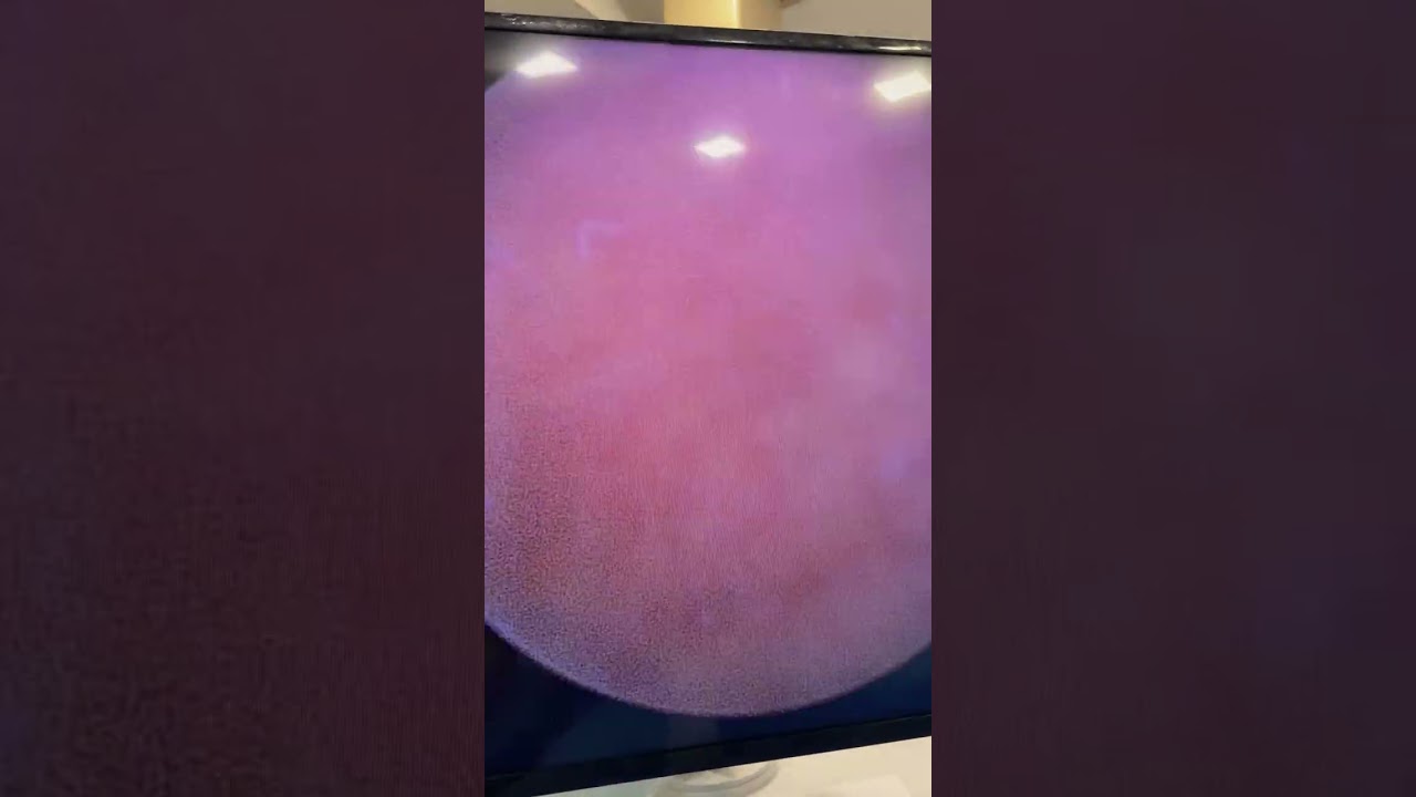 Marco Aurélio Rozado Basso-12