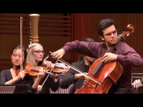 Finals National Cello Competition 2014 - Rolando Fernandez Lara (3rd prize) - Saint-Saëns - 1st mov.