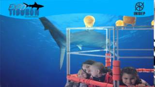 DIA 3 Expo Tiburon124