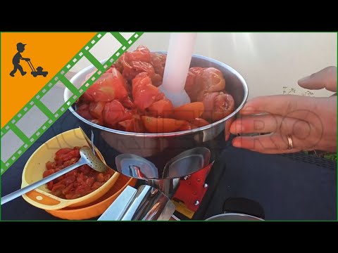 New-Line 3 tomato press by New O.M.R.A. 400 W - 220 V electric motor - Customer's operating video