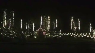 Christmas 2015 Light Show Sequence  #4; Christmas Concerto - Trans-Siberian Orchestra