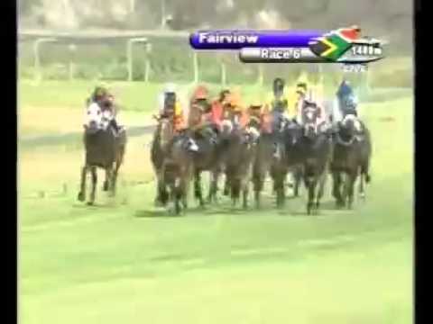 Greys Inn Control - 3rd win - Racing Association