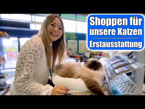Cat Shopping Haul 😍 First-time kit for new family members! Pet VLOG | Mommy Souls