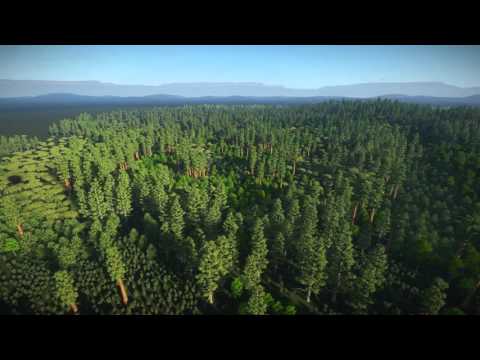 Trees and  Distant Mountains - A Short CGI Scene