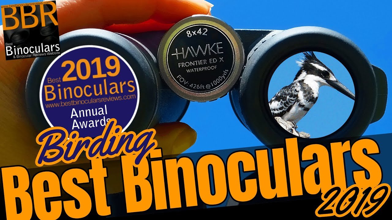 Best Birding Binoculars 2019 - BBR's Best Bird Watching Binoculars Awards