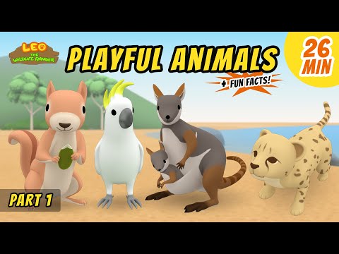 Playful Animals (Part 1/2) - Exciting & Educative Animals Stories for Kids | Leo the Wildlife Ranger