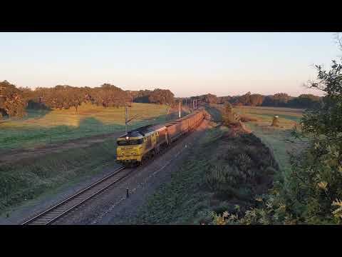 Comboio Especial n.º 91203/2 - Canal Caveira