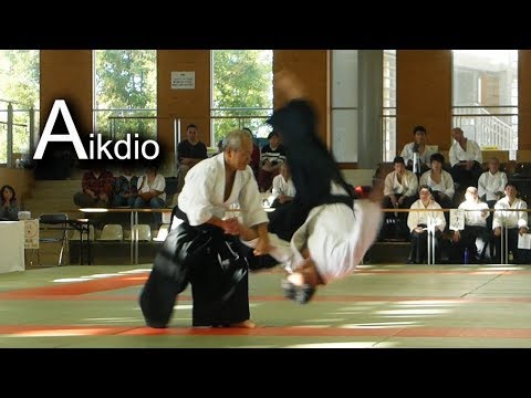 Aikido - Shirakawa Katsutoshi shihan 【All Tohoku Aikido Demonstration2018】