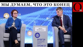 SPIEF-2025: a dog named Dets has come to Russia