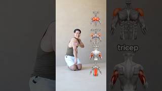 Download lagu 📌UPPER BODY AT HOME | 4 Bodyweight Exercises👌 mp3 Download lagu 📌UPPER BODY AT HOME | 4 Bodyweight Exercises👌 mp3