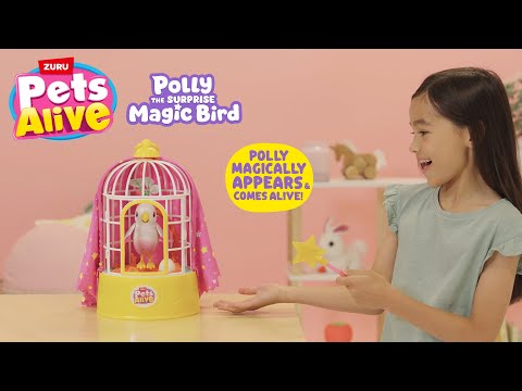 Polly the Magic Bird ✨ | Watch Her Appear, Sing & Talk Back!