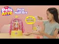 Polly The Magic Bird Watch Her Appear Sing Talk Back