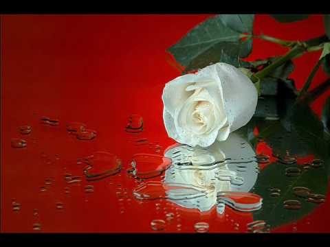 Korado in Brendi - Vem, da me varaš