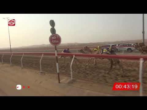  ش 20 (مراسيل) لـ عبيد سيف بن سالمين المنصوري 2:10 ، شارة الصندوق 2026/07/30 فطامين الروضة