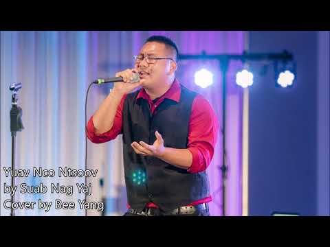 Yuav Nco Ntsoov - Suab Nag Yaj (cover by Bee Yang)