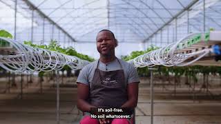 Video Screenshot for CAIPA: The Caribbean’s Growing Agritech Investment Opportunity