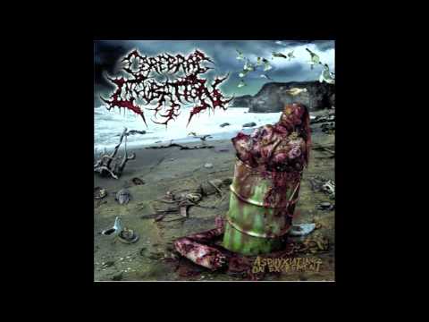 Cerebral Incubation - Asphyxiating On Excrement (Full Album) 2009 (HD)