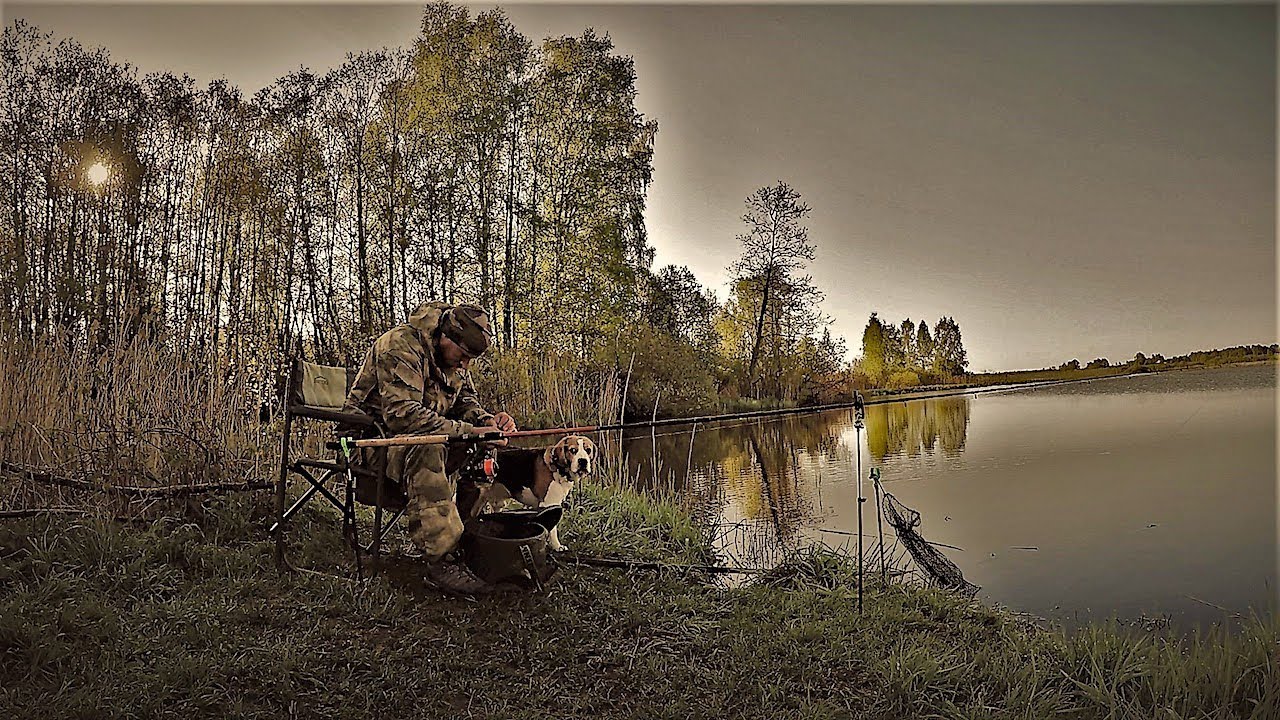 Рыбалка С Ночёвкой. Сливовый Пуф.Фидер(донка) Там Где Чудища Живут.
