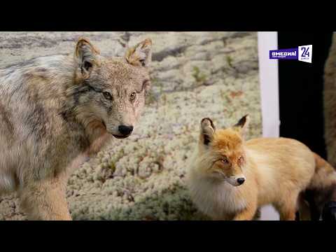 "Давай съездим": Лянторский хантыйский этнографический музей