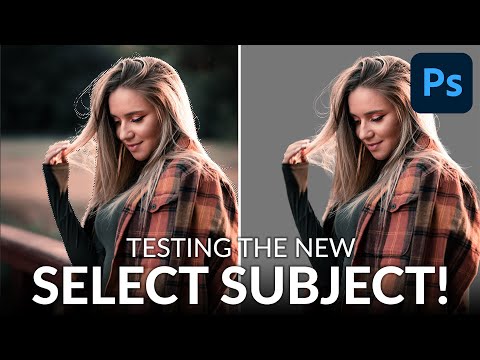 How to Set Up and Use a Wacom Tablet