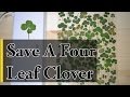 How To Save A Four Leaf Clover